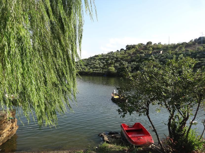 Villa Casa da Caroline Freixo de Espada à Cinta Esterno foto